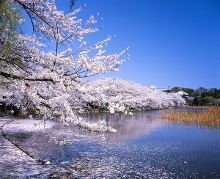 综合网插插插 我非常乐意为你提供帮助海报