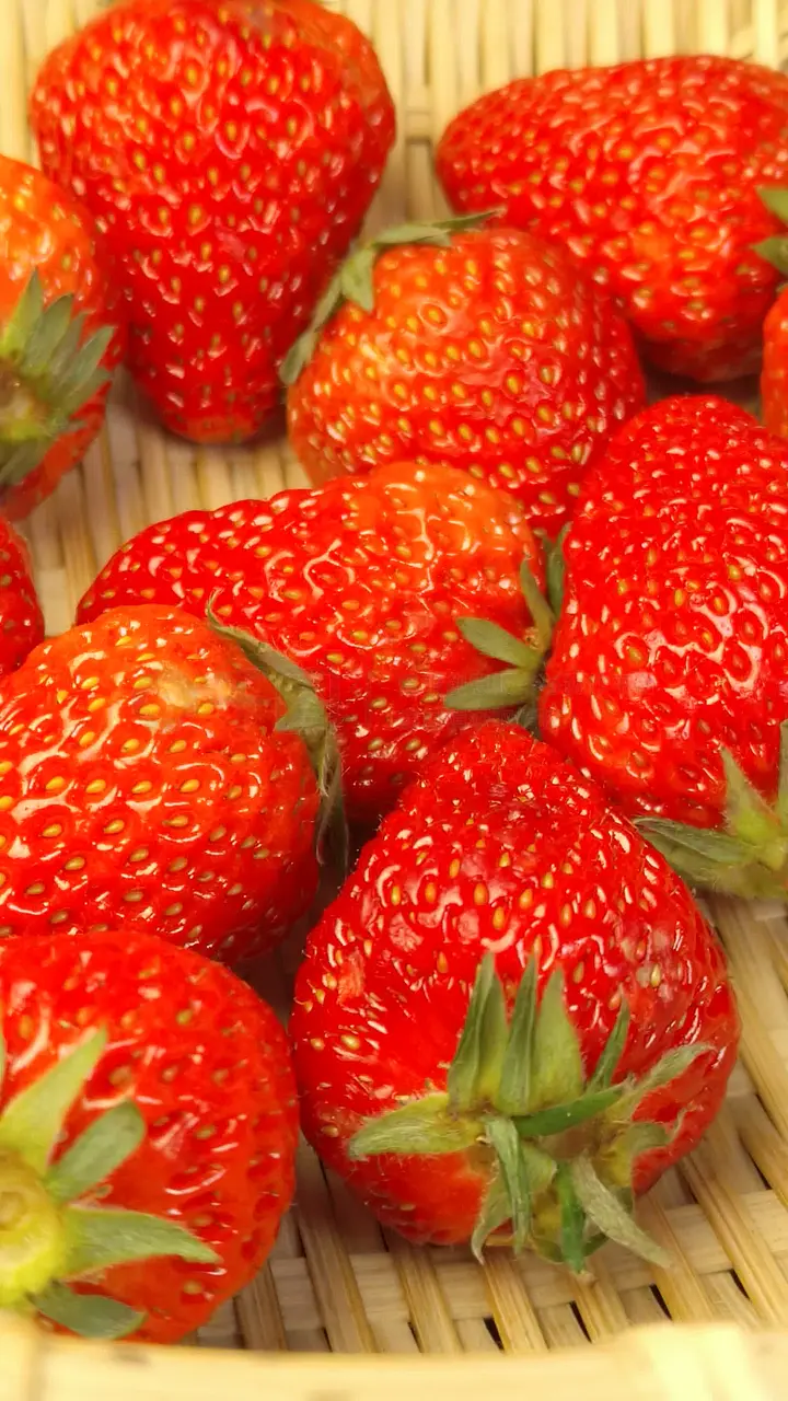 灭火馆网站海报