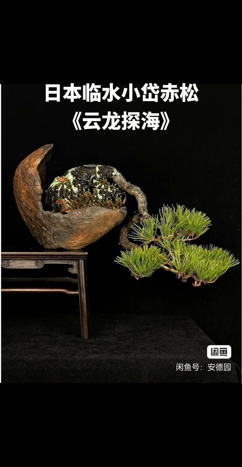 国产色精品VR一区二区 推荐不同的色精内容