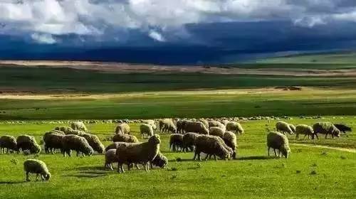 不见星空第一弹海报