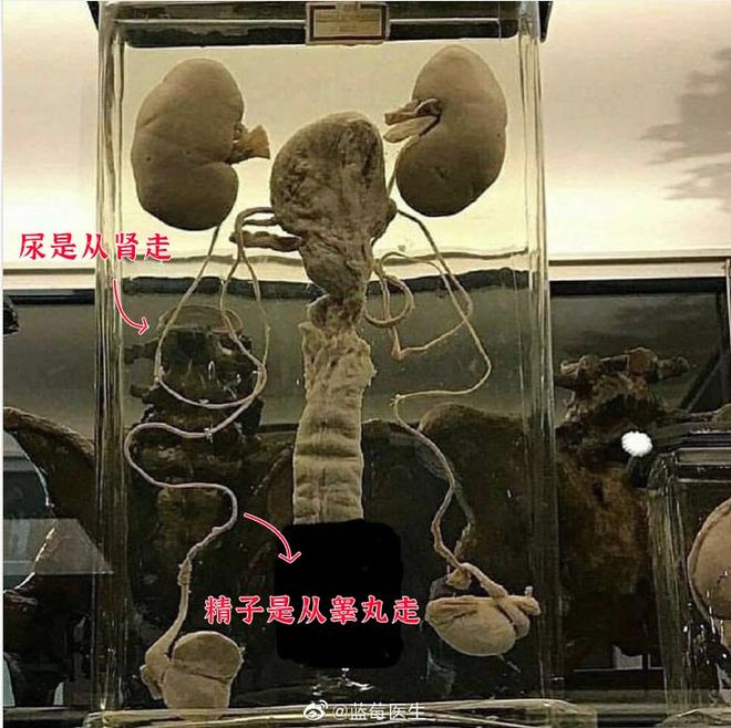 每日要求 每日求每天勾选完成