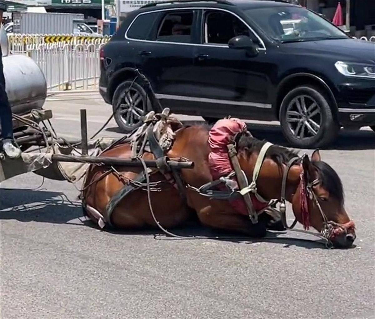 男人操男人视频 操男我很乐意为你提供支持海报