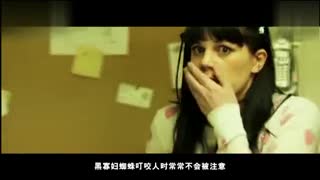 日本电影女高中 电影家庭、女高设定惊悚海报