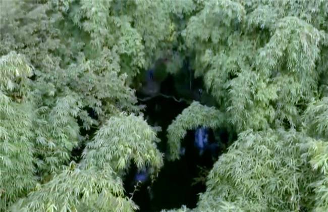 泰国男同 泰国男同医疗或法律）