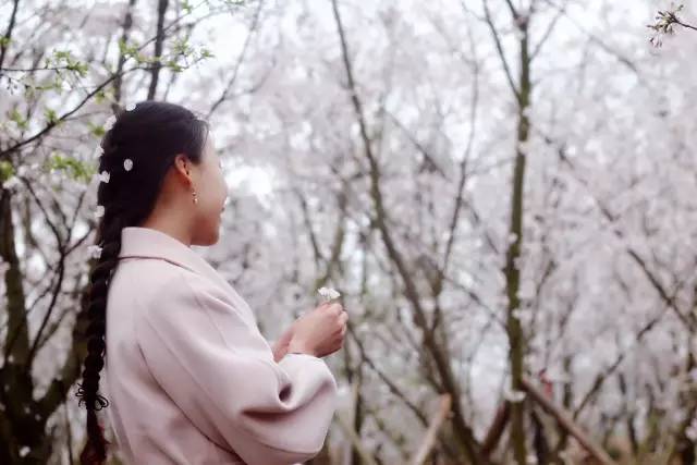 无限臀山408 无限臀山我会尽力协助