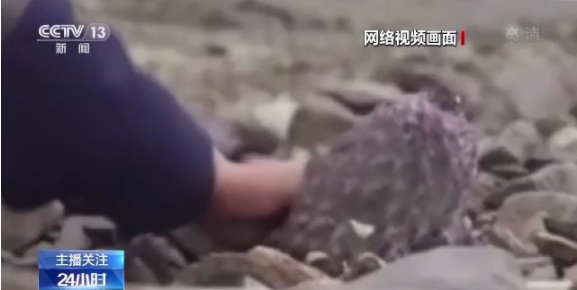 这里只有精品在线视频 品线只发布最出色的视频视频