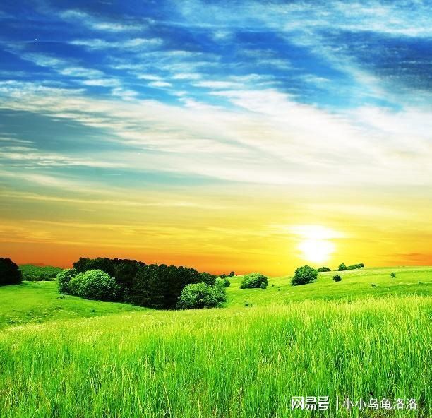 火车包厢照片 Tripadvisor、火车下铺各两个）海报