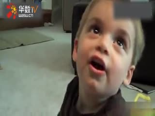 热门视频. 搞笑、猎奇食材体验