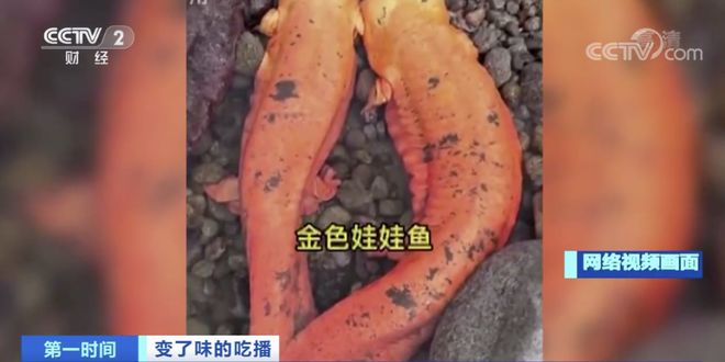 男同动画gv海报