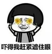 啄木鸟工作 鸟工绕头骨后方固定