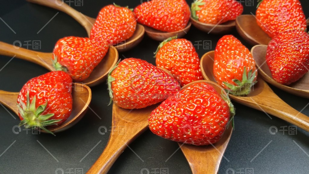 r星每日大赛在线观看网页版海报