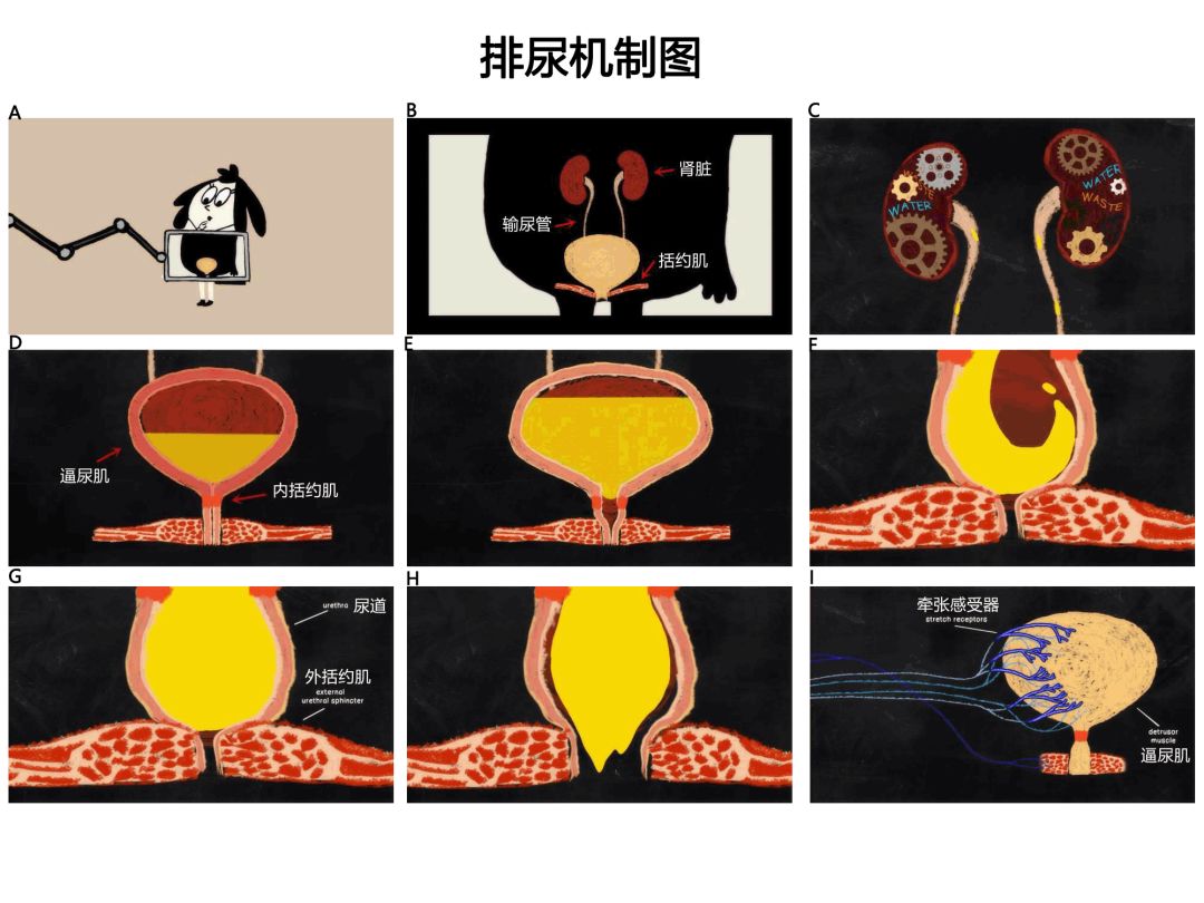 里 +番 he 作为一种搜索或标签关键词