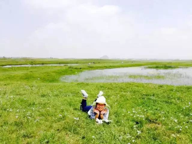 精品欧美一区二区精品久久海报