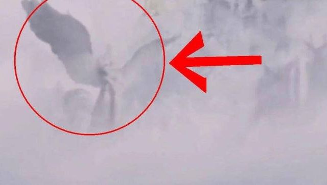 亚洲免费无l码中文在线视 免费码中片子没有马赛克