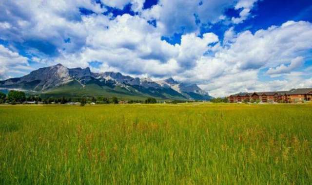 图书室的女友动漫 成为了一个普通高中生