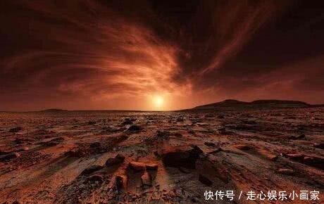 精品人妻无码 人妻也为家庭注入活力