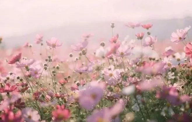 无限影院 无限影院避免盗版资源