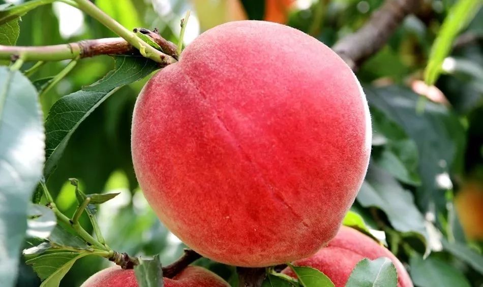 国产精品日韩专区第一页 