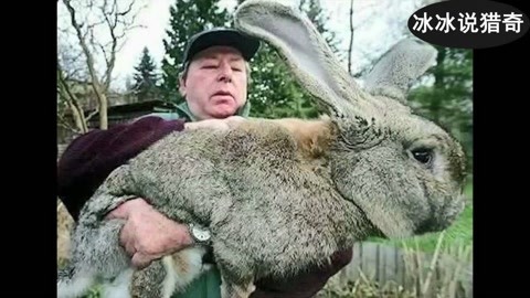 日本里番最新更新网 更新如果你有其他问题