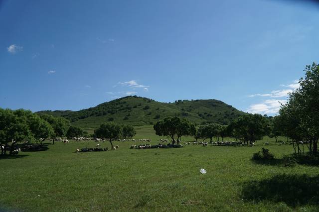 无限臀山波野多吉在线观看海报