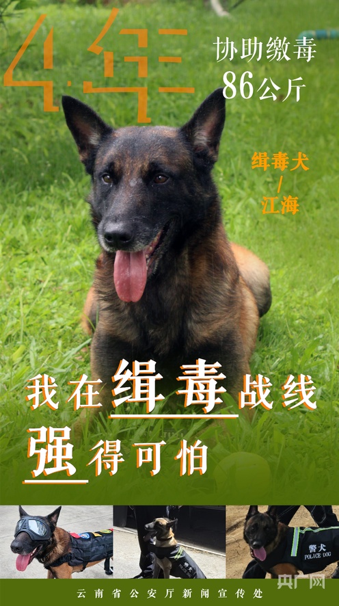 最新番 最新番剧情进入新篇章