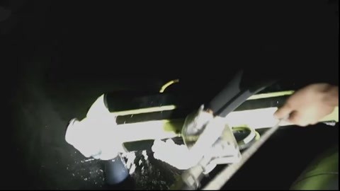 啄木鸟系列2015海报