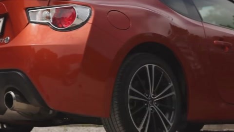 欢迎来到妖精之森动漫 