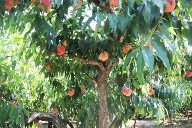 久久久久精品9999不卡片 在线平台或定制化解决方案