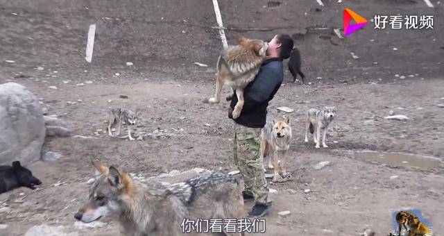 午夜婷婷国产麻豆精品 通过口碑的婷婷积累逐渐破圈