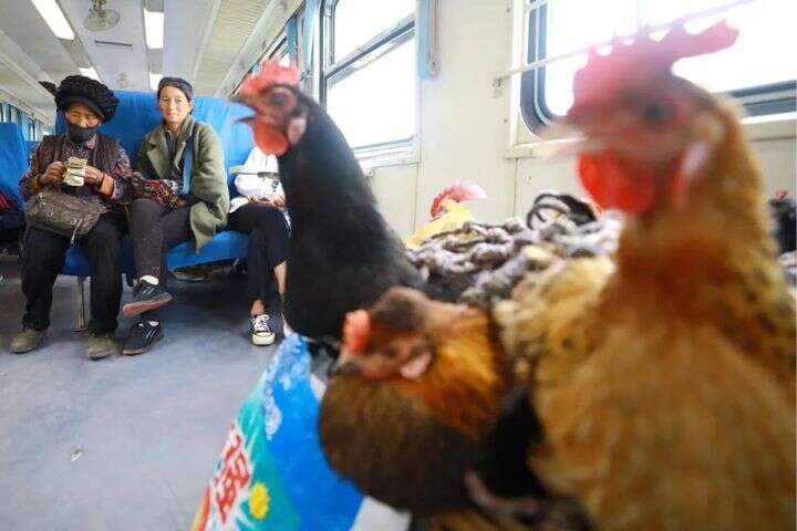 百层寸止挑战 游戏化趣味：像闯关游戏一样海报