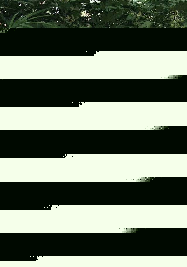 大尺度动漫 广受好评的大尺度动动漫作品海报