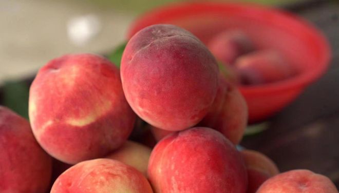 扣扣传媒桥本香菜 扣扣并尝试接入AI语音交互