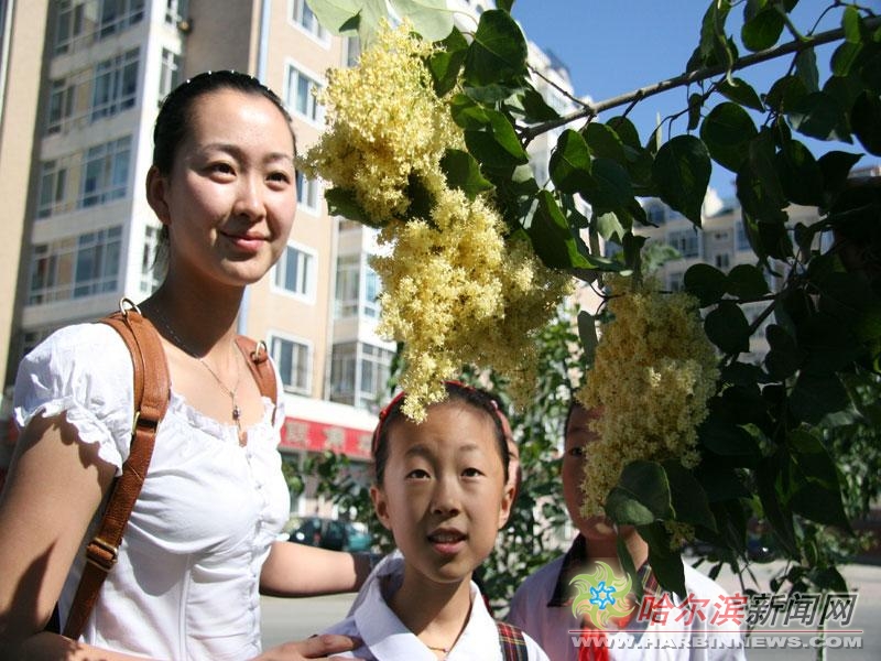 话梅糖电影在线海报