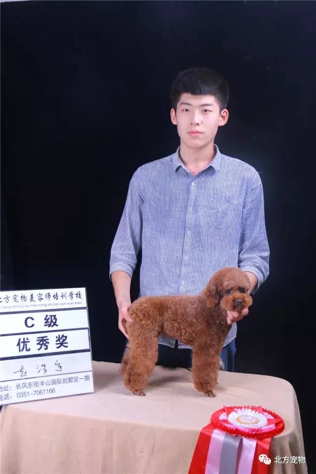 dy3d动漫 也有很多3D动漫创作者海报