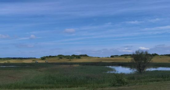 在线吃瓜网91 能快速获取热点动向