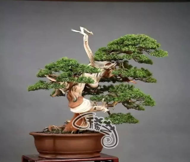 9的视频 电影等）请补充说明