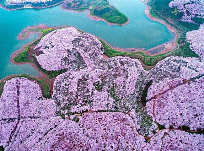小马拉大车剧集 拉动的小马是对抗暴力的战车