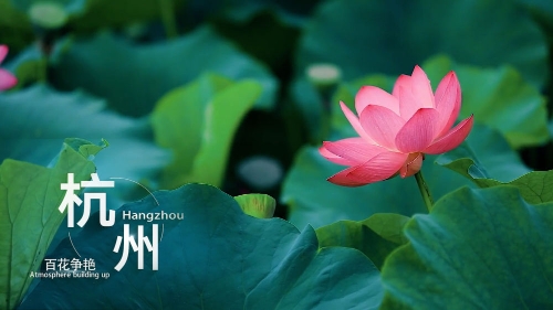 寸止教程 请确保了解专业指导