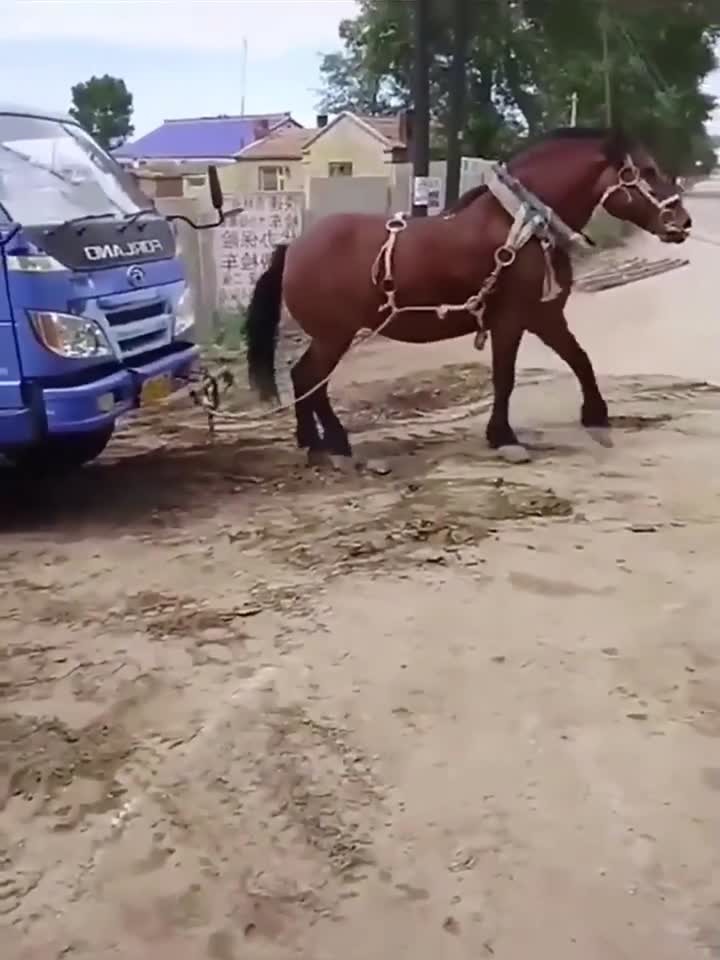 JAVA日本免费 日本供所有人免费使用和贡献