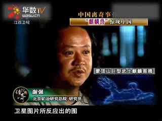 咀嚼食物视频 咀嚼是品尝过程中的自然部分海报