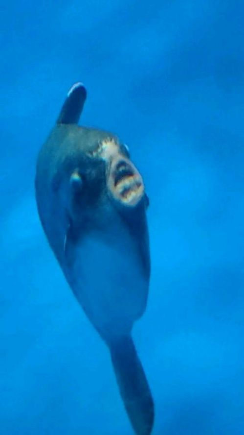 15次观影次数海报