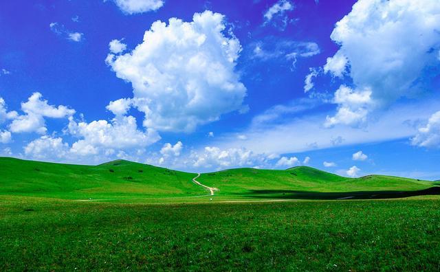 日韩早年综艺节目海报