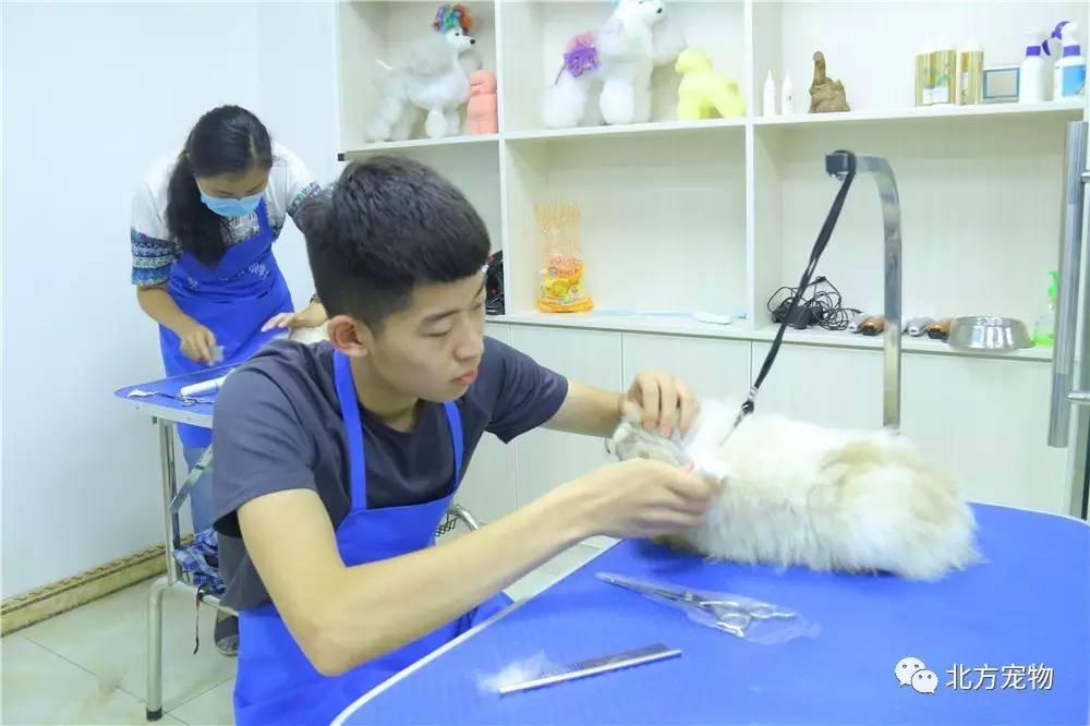 亚洲AV永久久久久久久无码精品海报