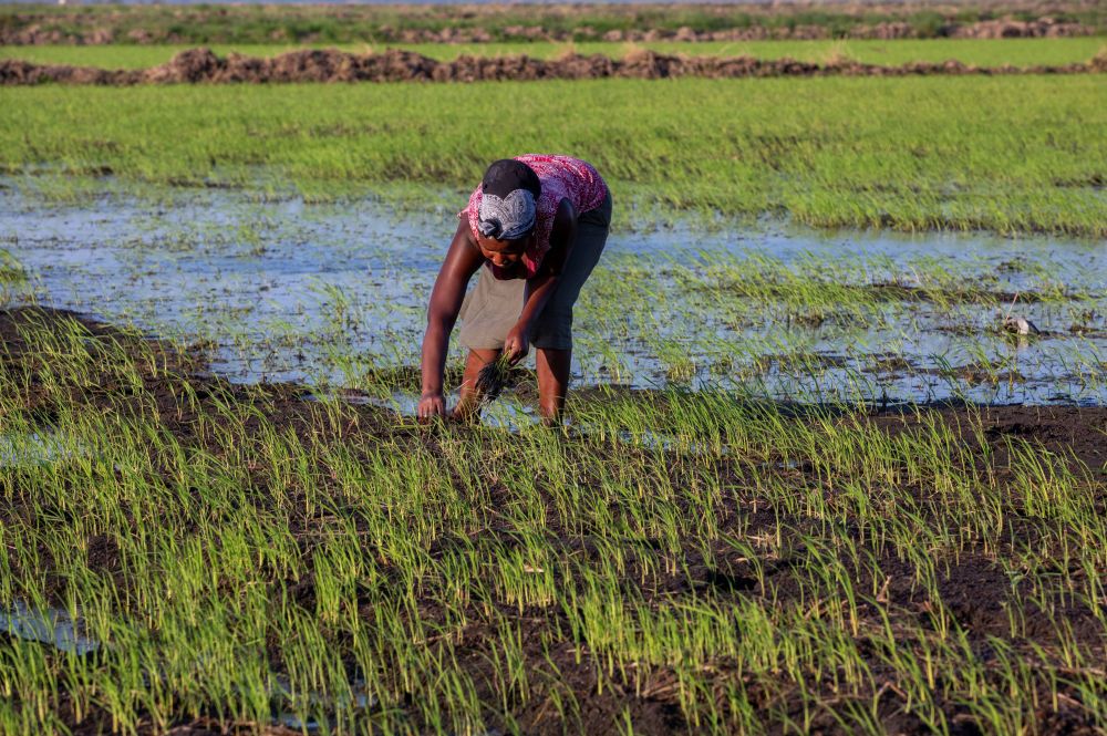 亚洲AV永久久久久久久无码精品 一些备受好评的码精案例显示