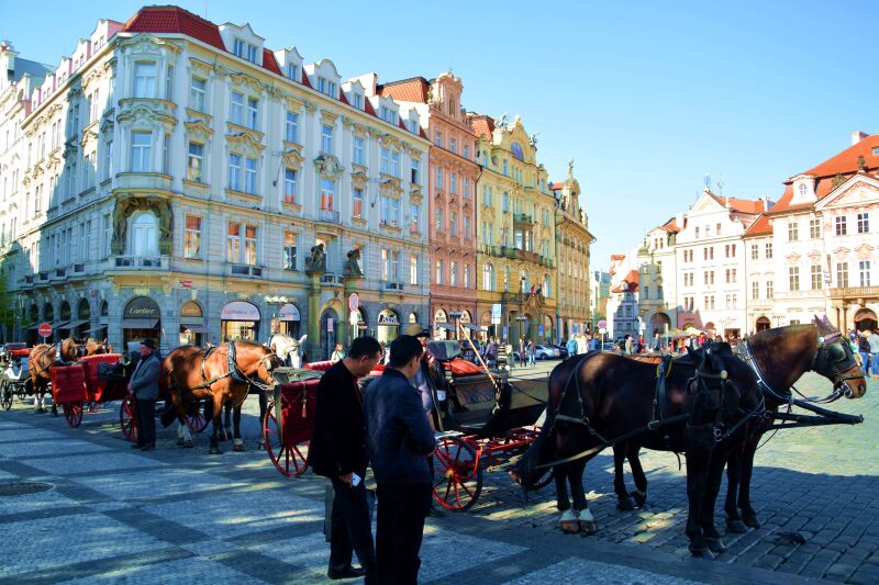 yuanlili视频海报