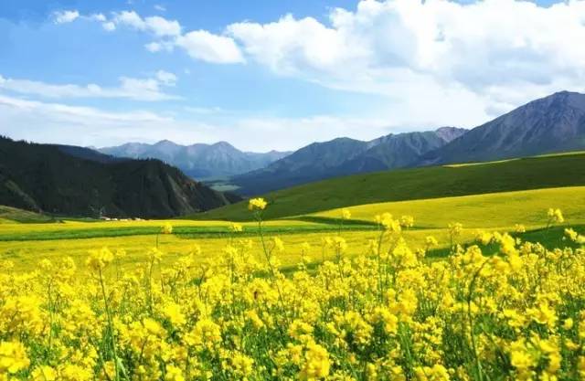 久久精品一本到东京热海报