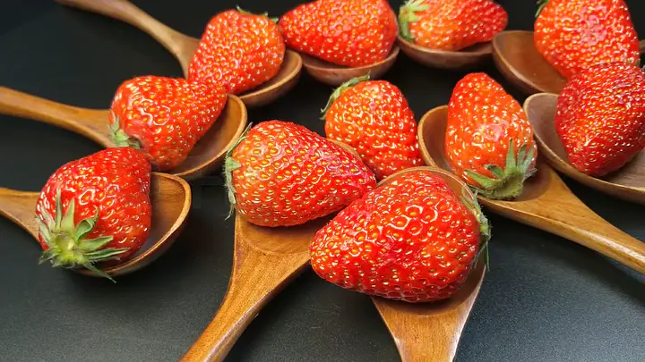 最新视频导航海报