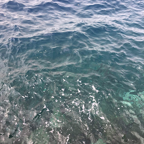 塞雷卡通关视频 Switch等）或主角名字海报