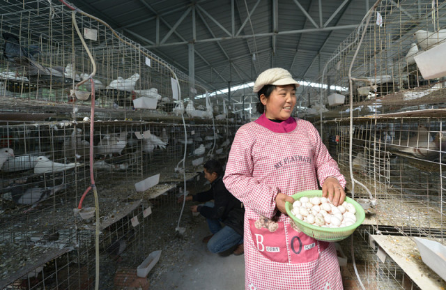 尤物秘书 而不仅仅是尤物秘书执行指令