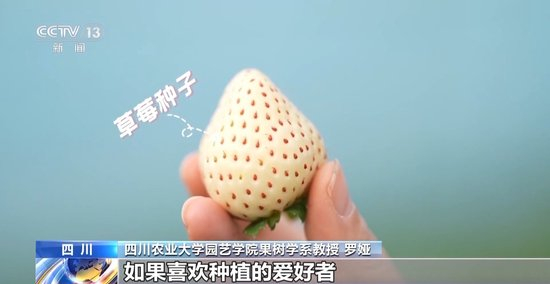 俄罗斯vodafonewifi巨大! 首先得提它的俄罗覆盖范围